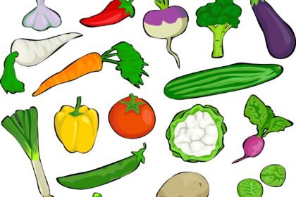 vegetables-1104166_1920